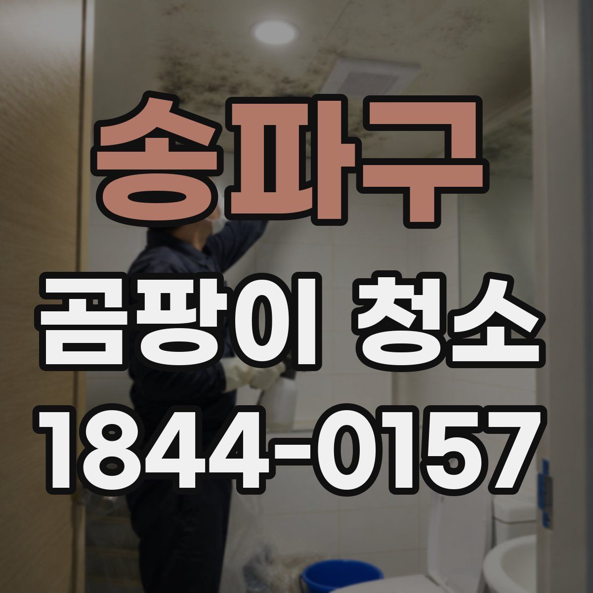 송파구 곰팡이 청소
