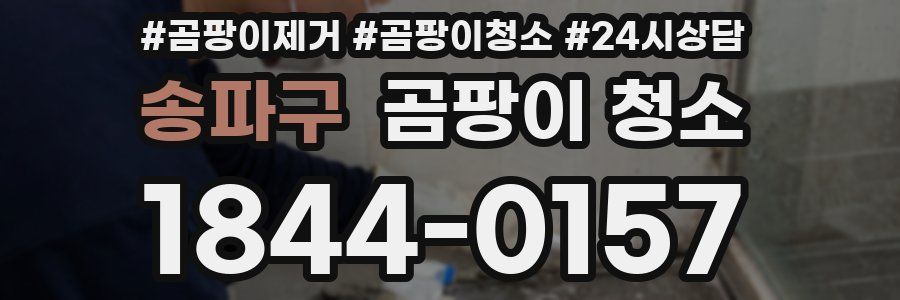 송파구 곰팡이 청소