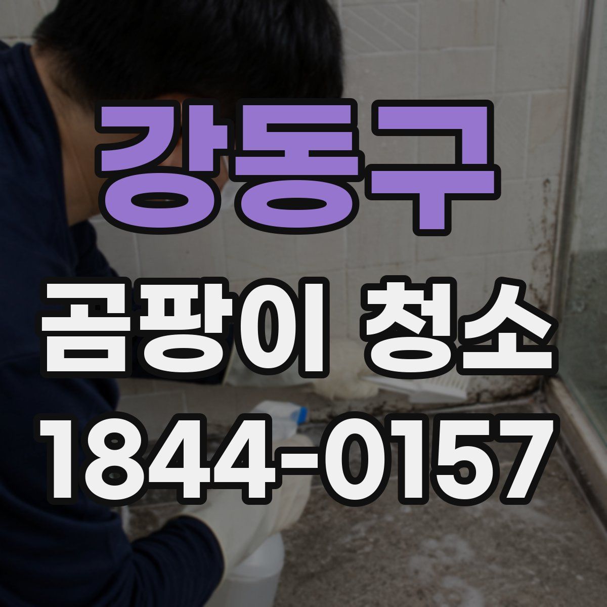 강동구 곰팡이 청소