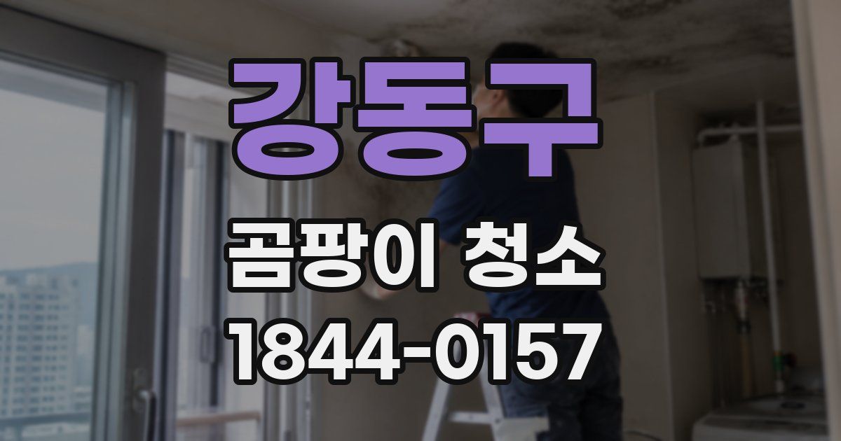 강동구 곰팡이 청소