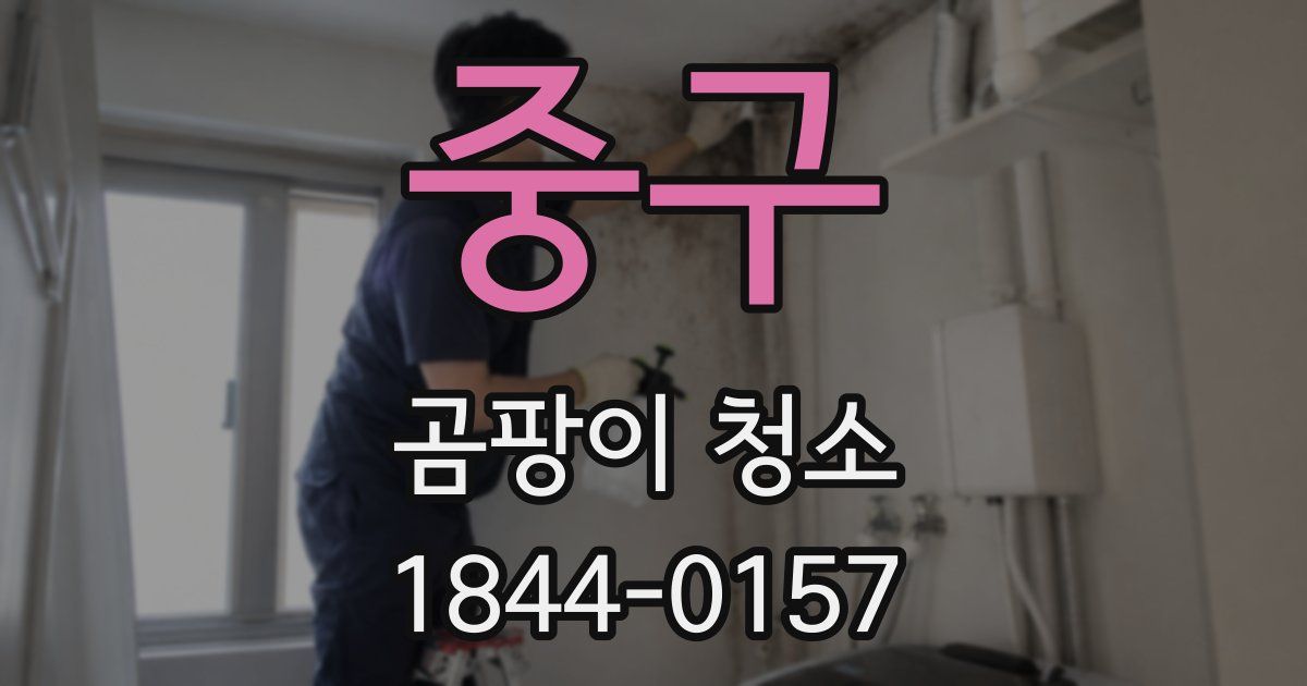 중구 곰팡이 청소