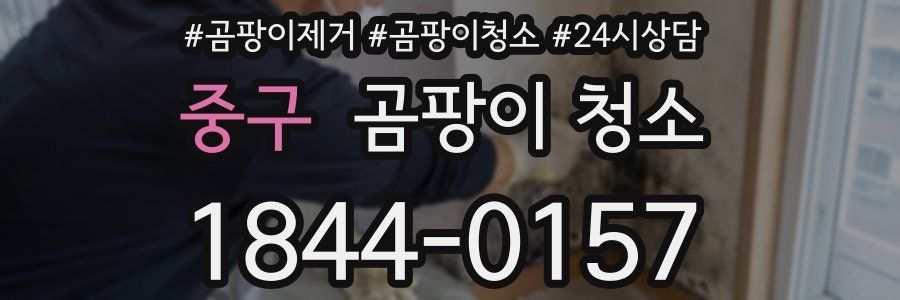 중구 곰팡이 청소