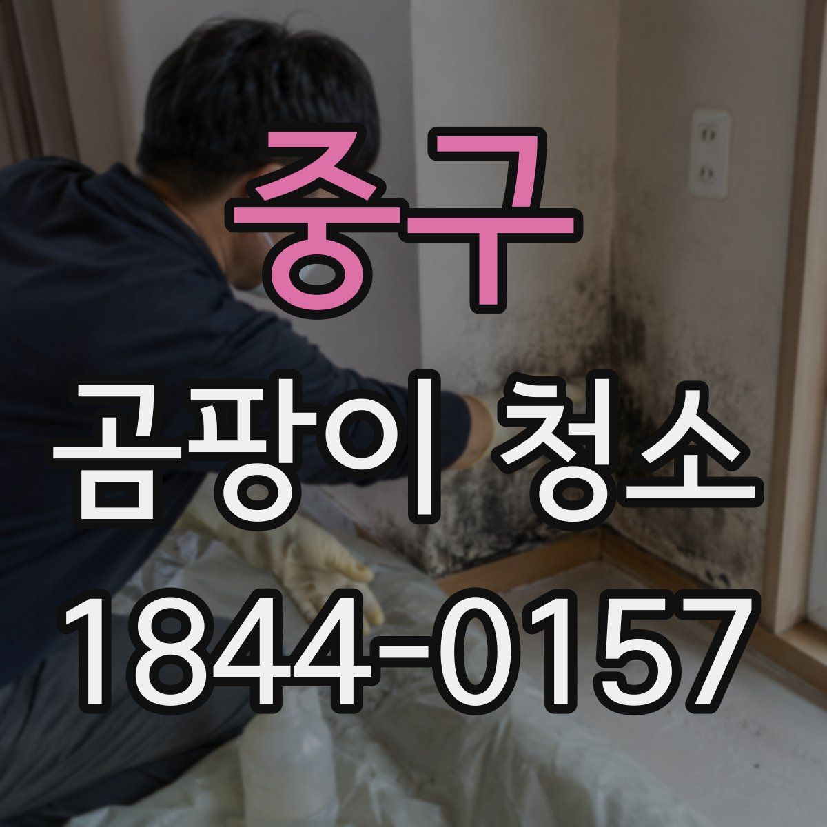 중구 곰팡이 청소