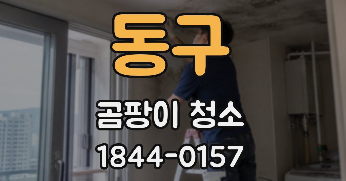 동구 곰팡이 청소