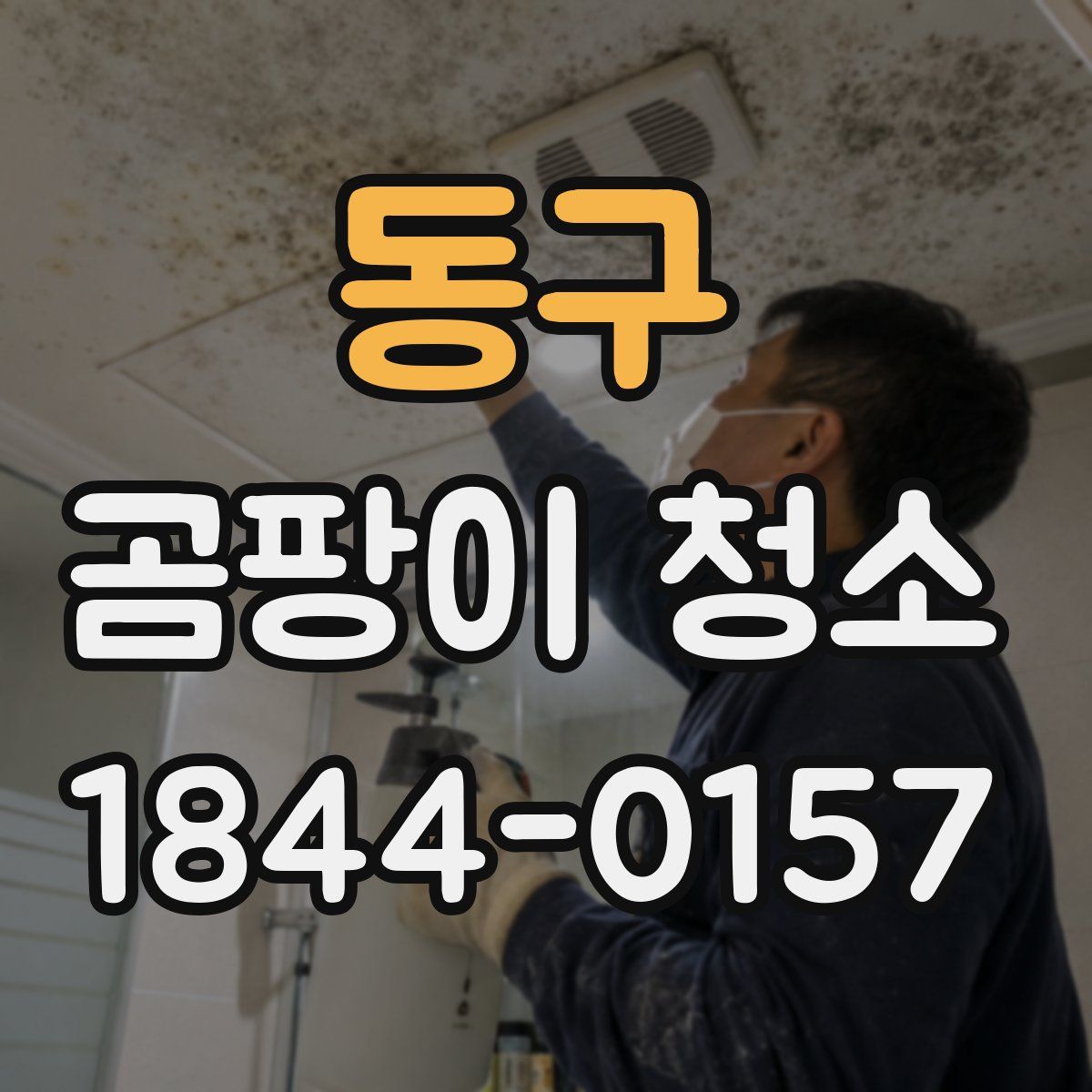 동구 곰팡이 청소