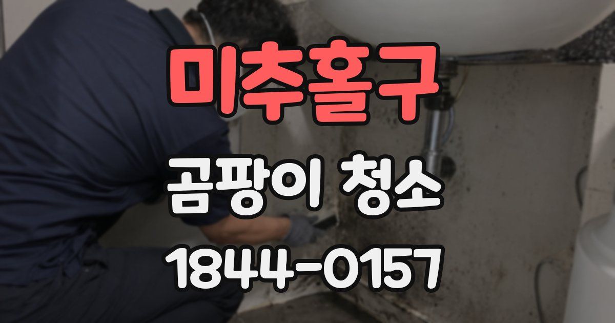 미추홀구 곰팡이 청소