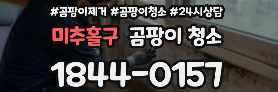 미추홀구 곰팡이 청소