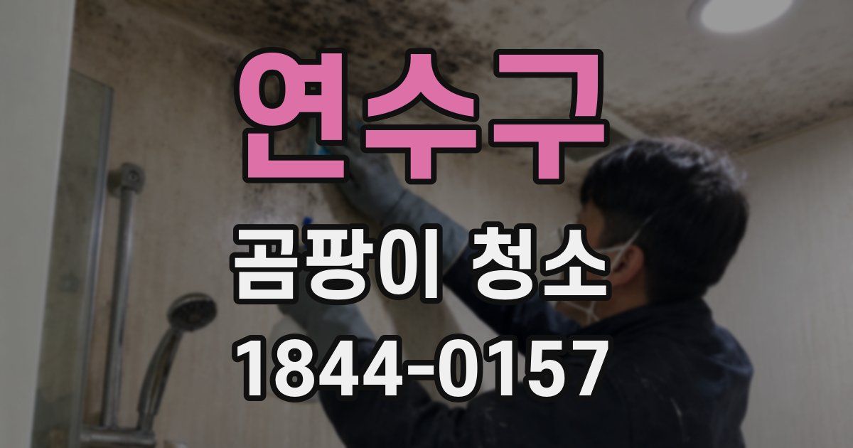연수구 곰팡이 청소