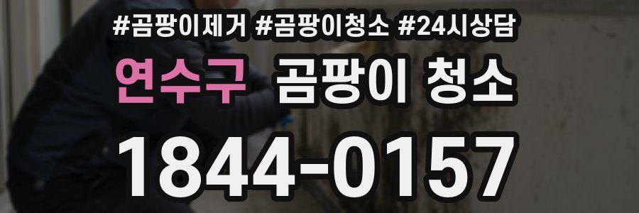 연수구 곰팡이 청소