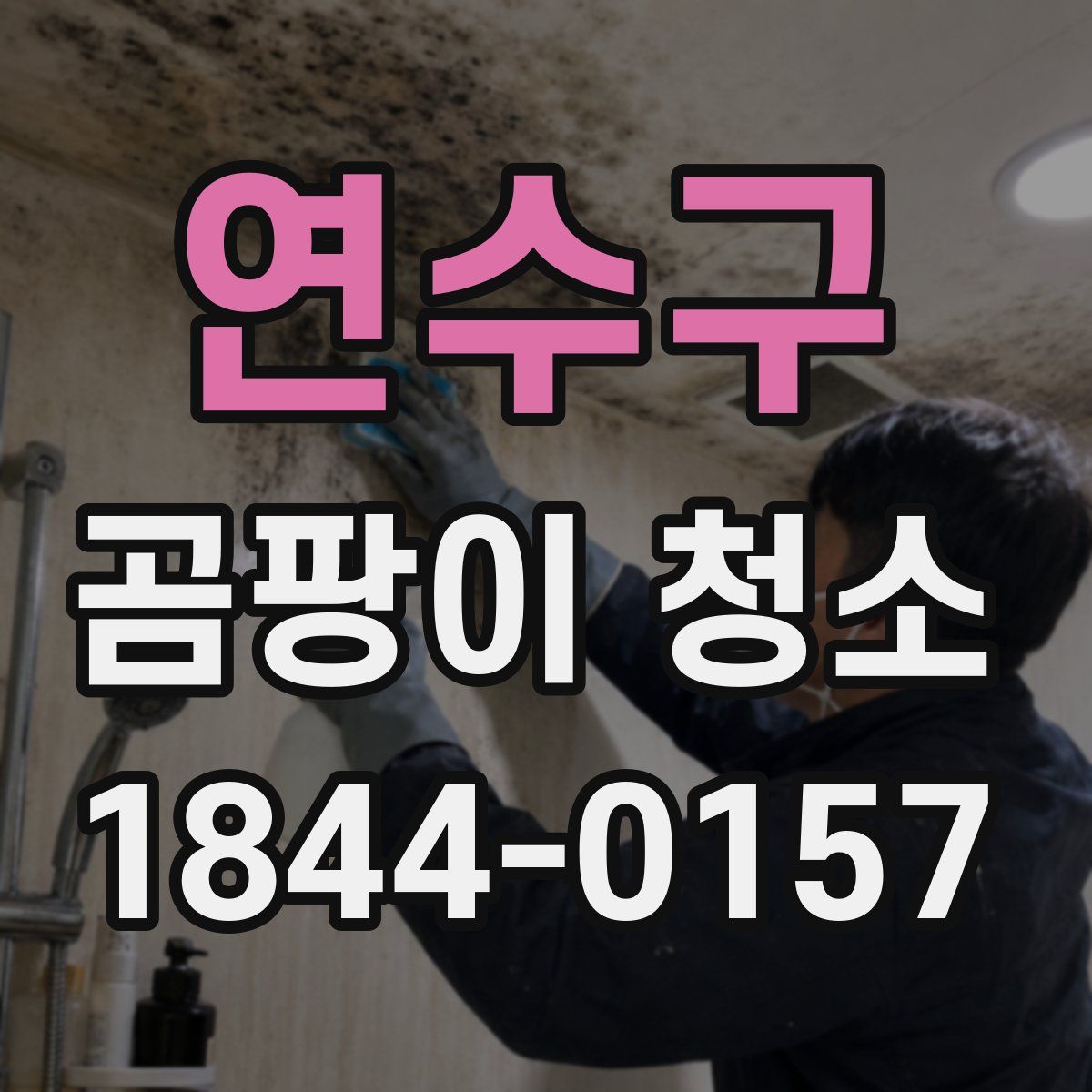 연수구 곰팡이 청소