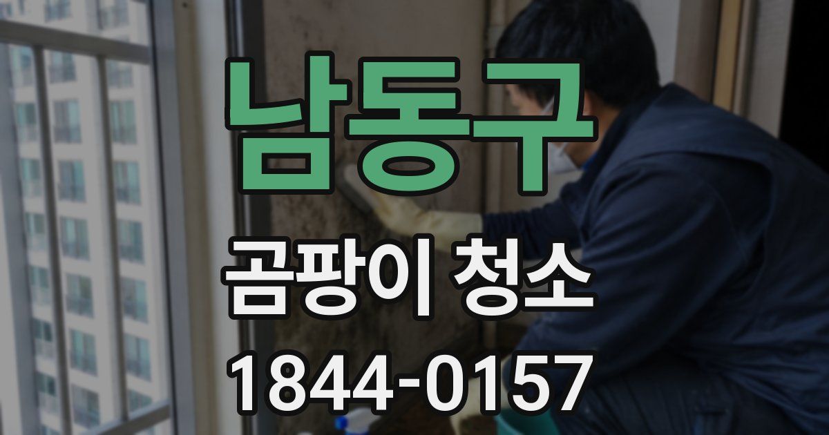 남동구 곰팡이 청소