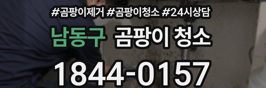 남동구 곰팡이 청소