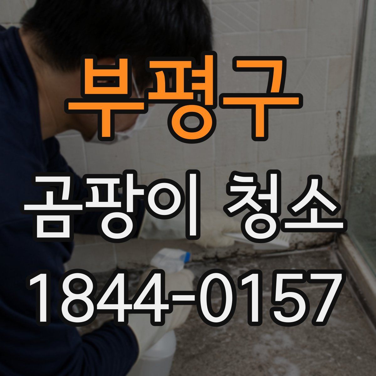 부평구 곰팡이 청소
