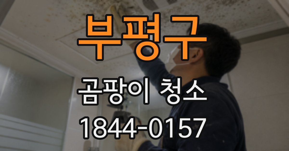 부평구 곰팡이 청소