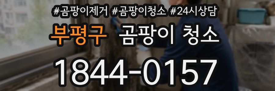 부평구 곰팡이 청소