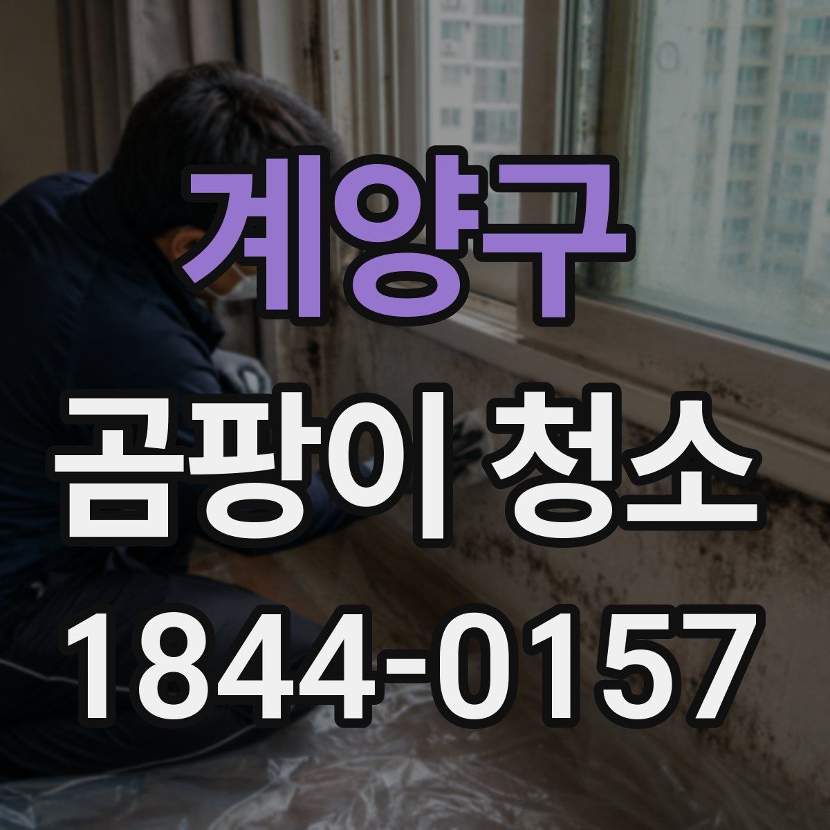계양구 곰팡이 청소
