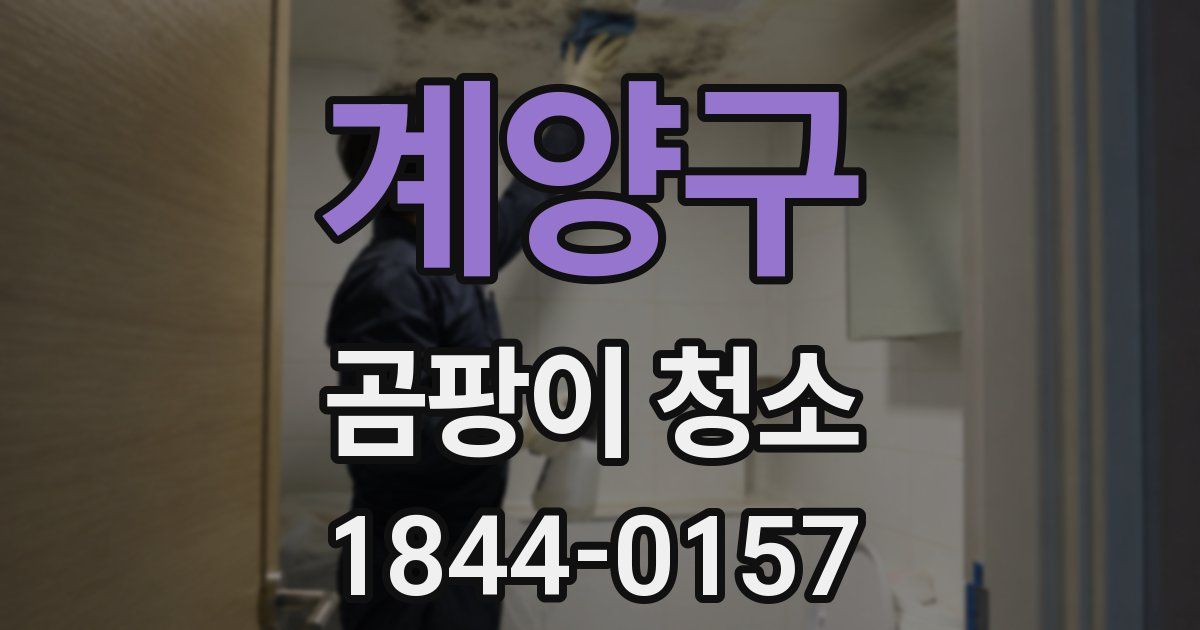 계양구 곰팡이 청소