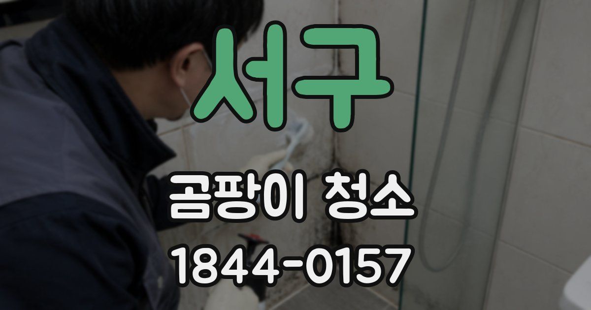 서구 곰팡이 청소