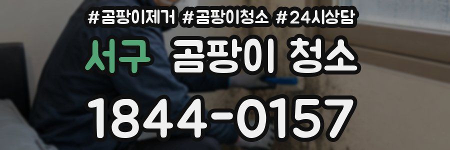 서구 곰팡이 청소