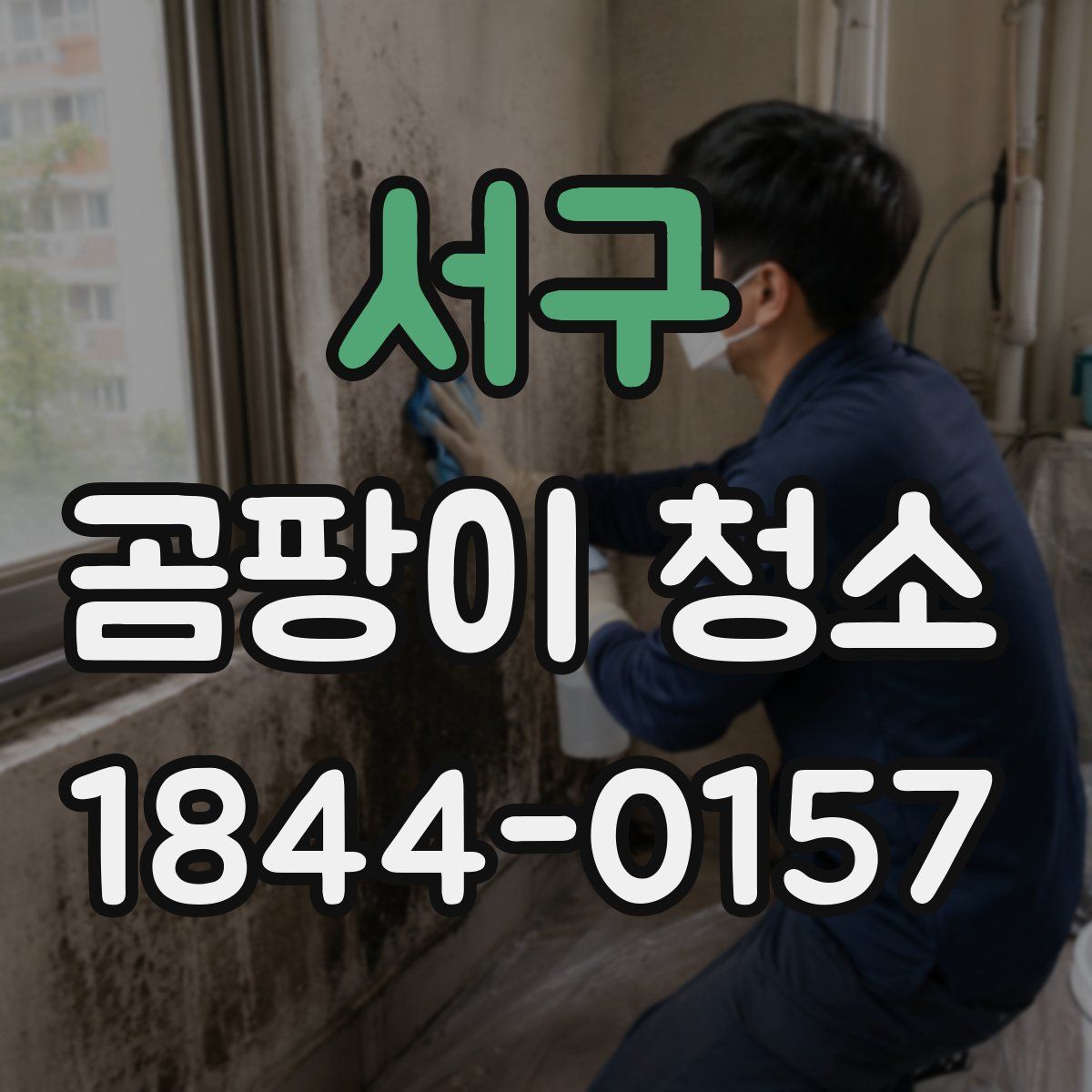 서구 곰팡이 청소