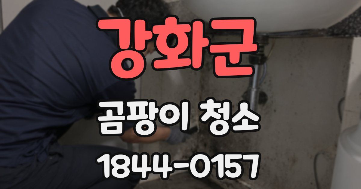 강화군 곰팡이 청소