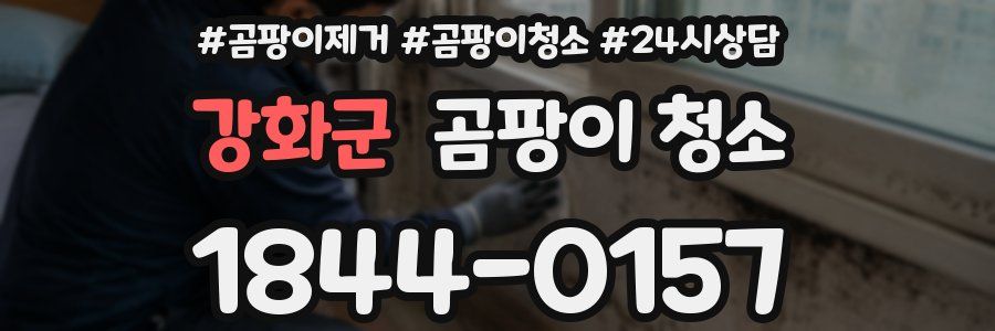 강화군 곰팡이 청소