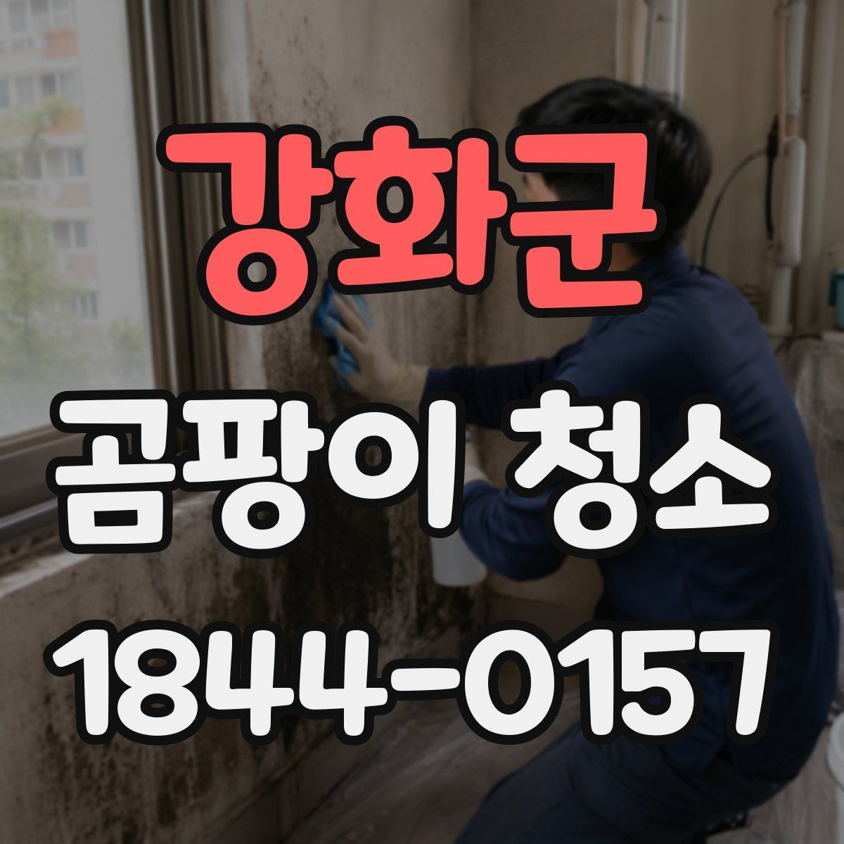 강화군 곰팡이 청소