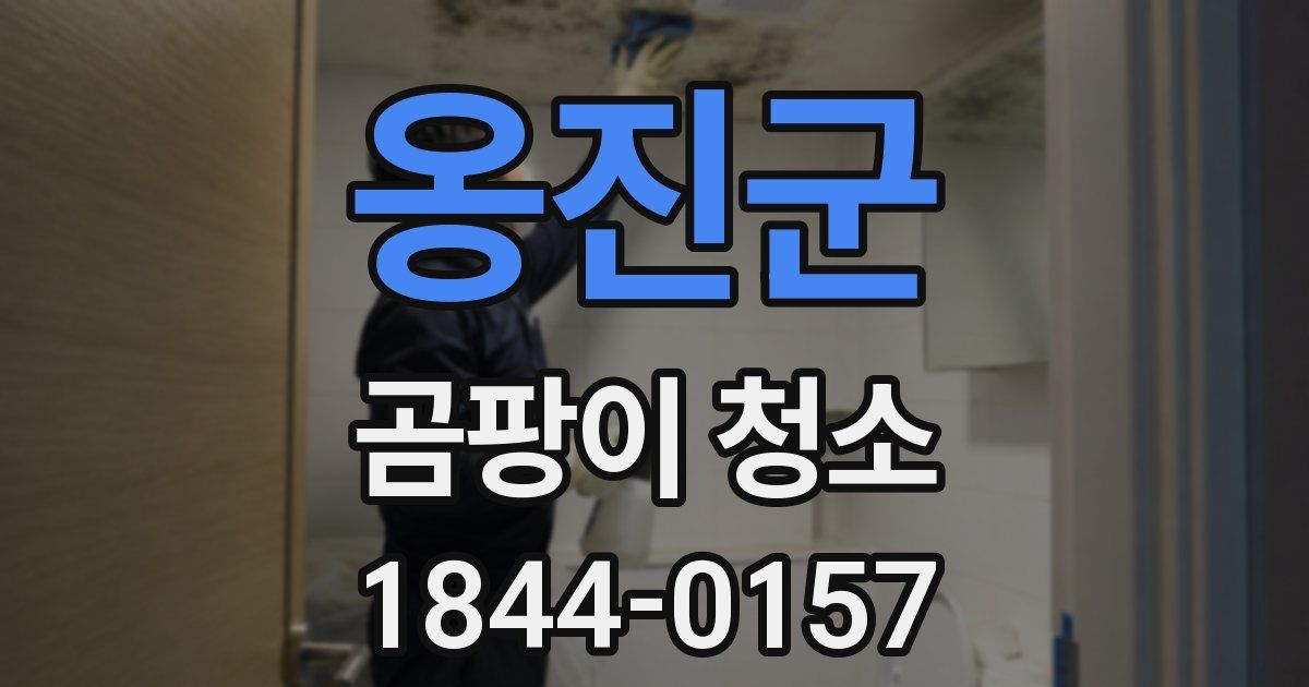옹진군 곰팡이 청소