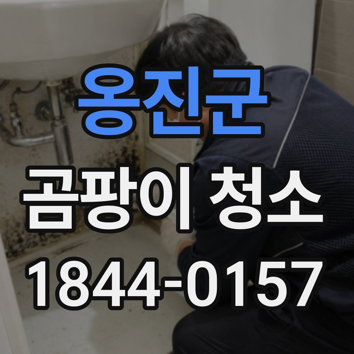 옹진군 곰팡이 청소