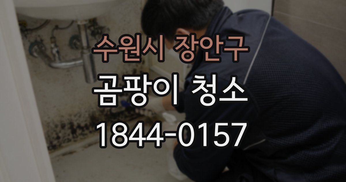 수원시 장안구 곰팡이 청소