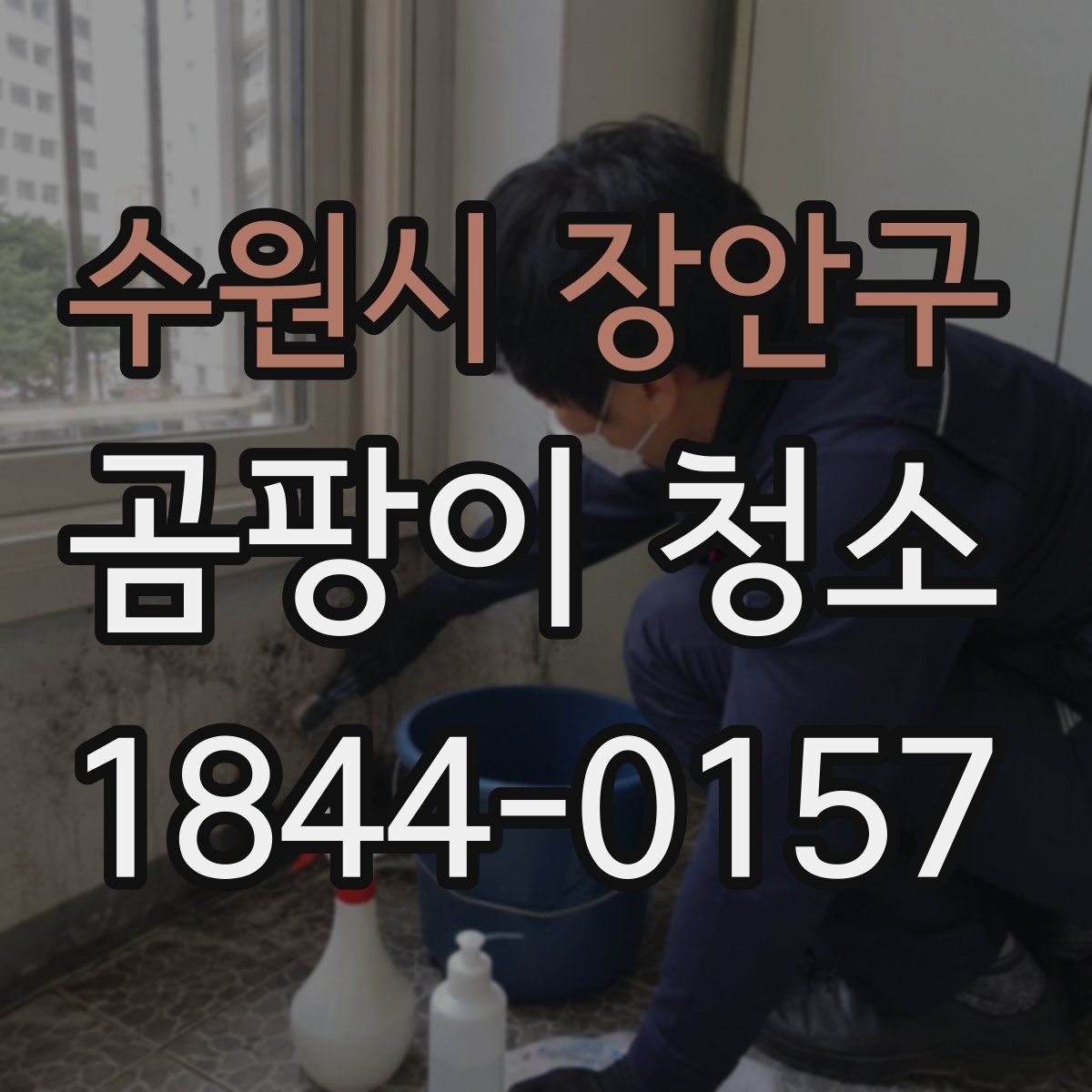 수원시 장안구 곰팡이 청소