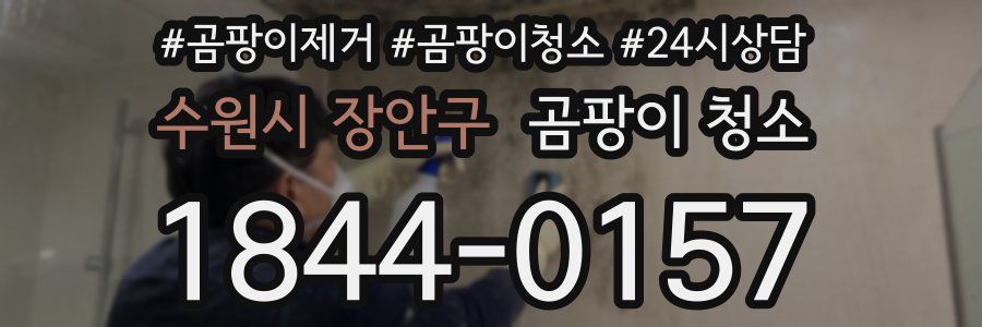 수원시 장안구 곰팡이 청소
