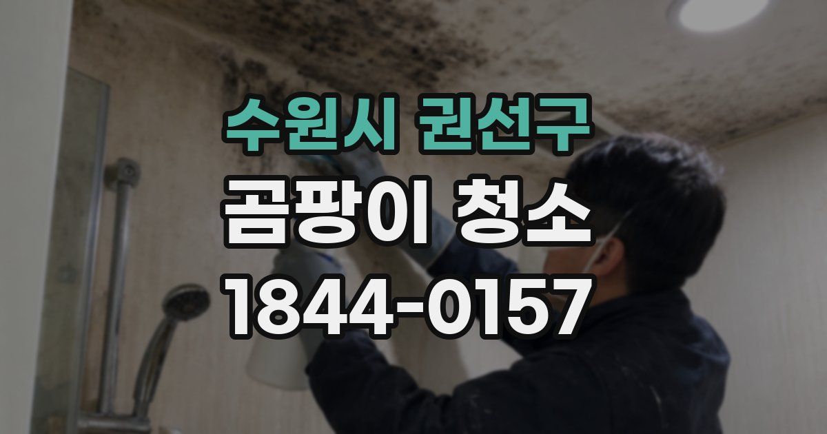 수원시 권선구 곰팡이 청소