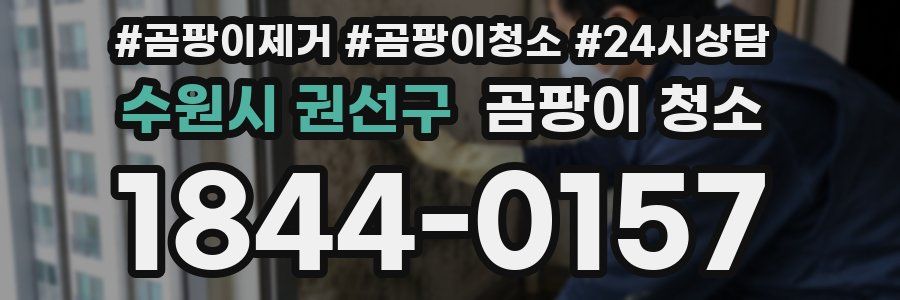 수원시 권선구 곰팡이 청소