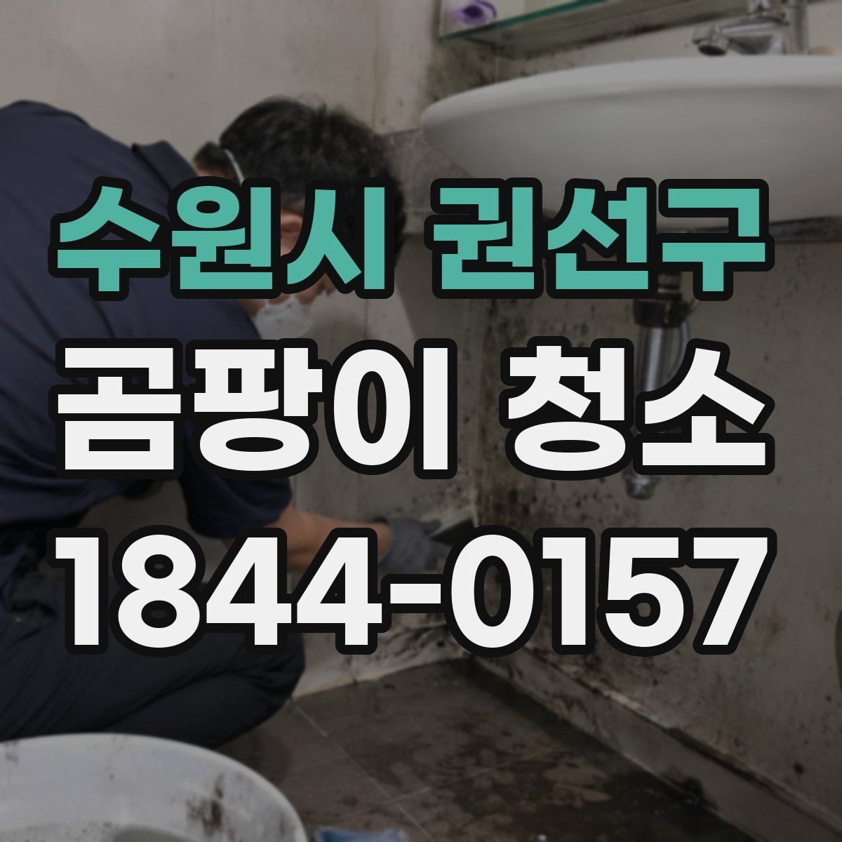 수원시 권선구 곰팡이 청소
