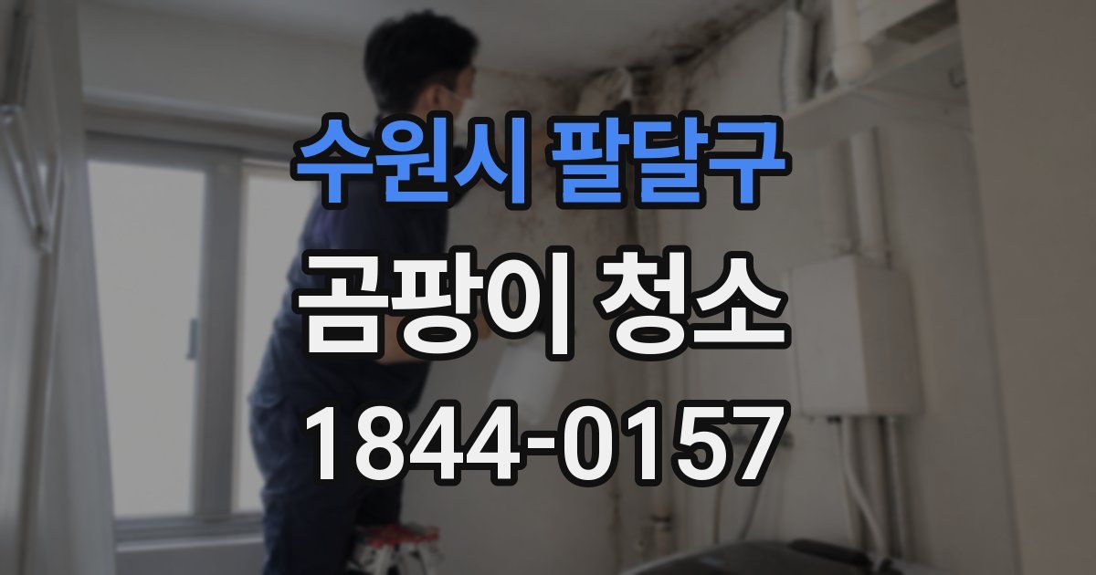 수원시 팔달구 곰팡이 청소