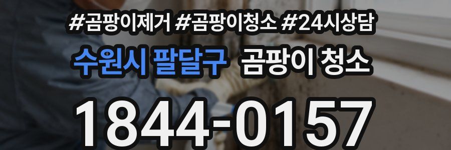 수원시 팔달구 곰팡이 청소
