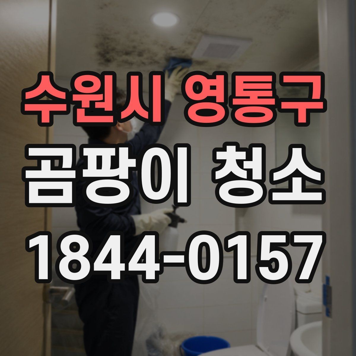 수원시 영통구 곰팡이 청소 시 자재 손상을 고려한 약품 선택 가이드