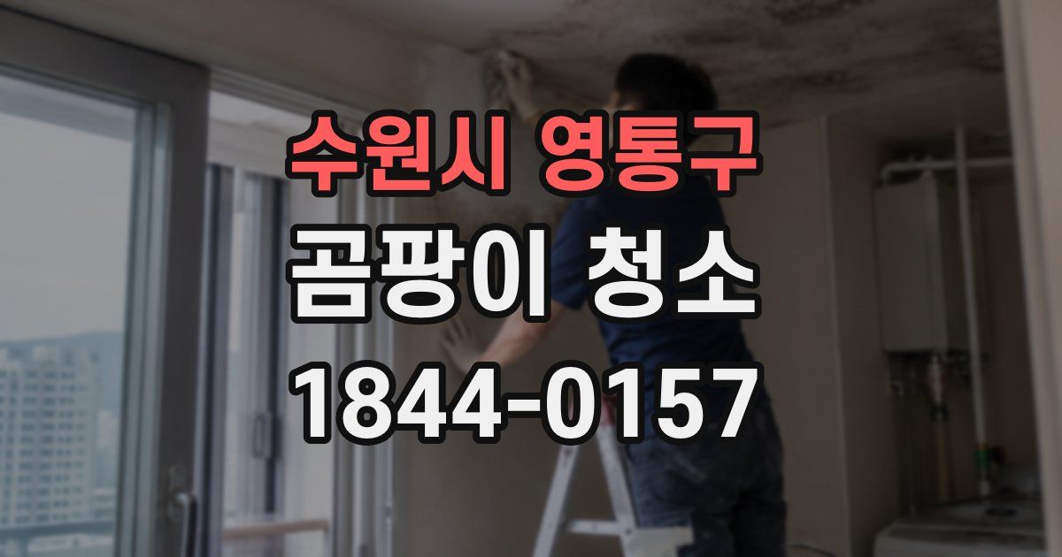 수원시 영통구 곰팡이 청소