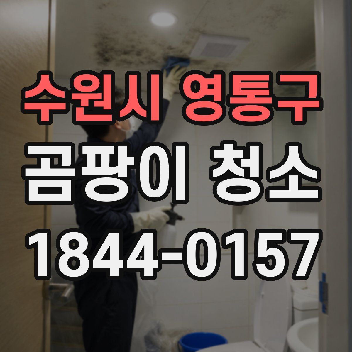 수원시 영통구 곰팡이 청소