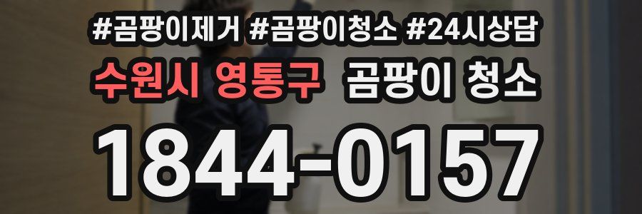 수원시 영통구 곰팡이 청소