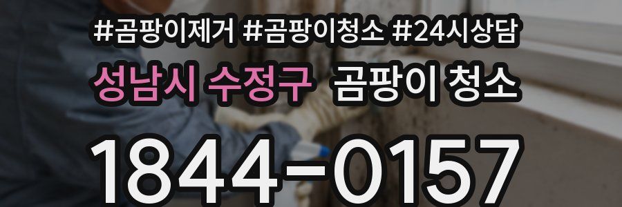 성남시 수정구 곰팡이 청소