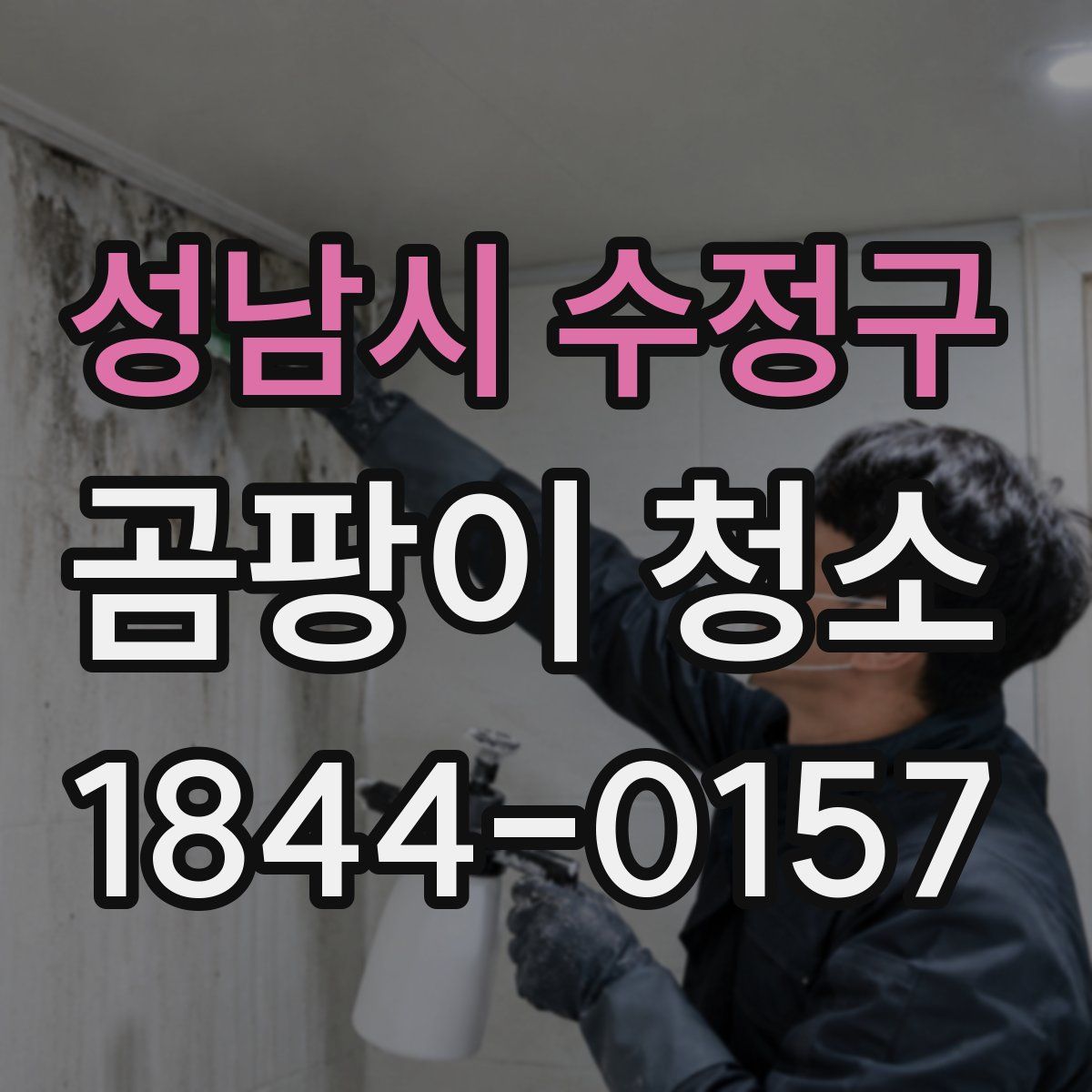 성남시 수정구 곰팡이 청소