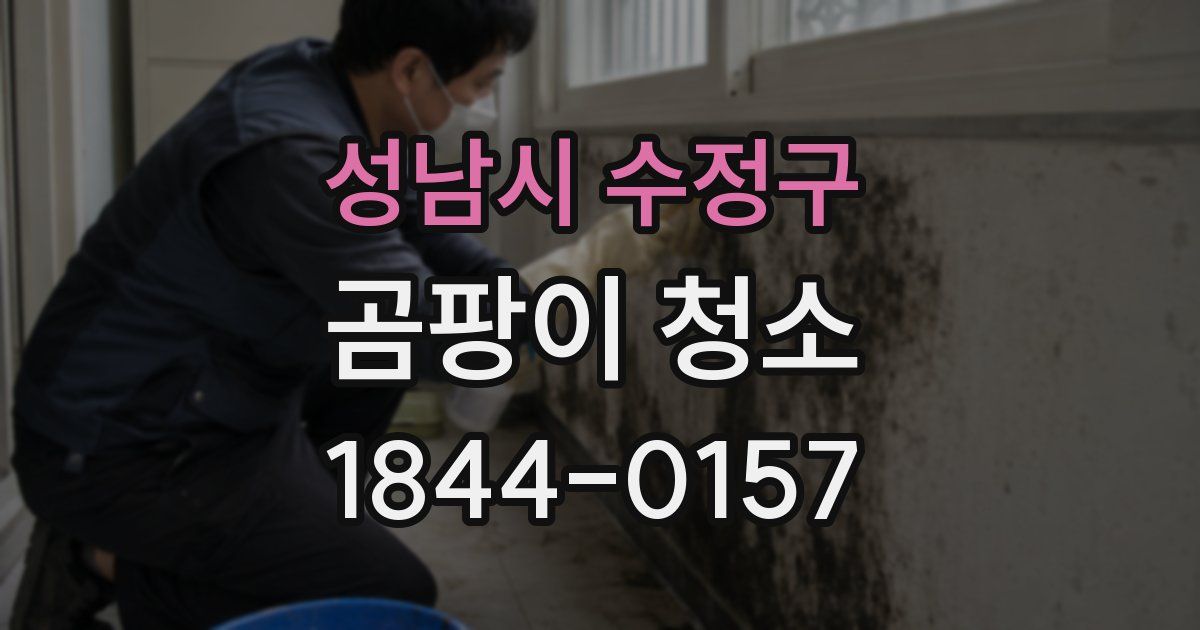 성남시 수정구 곰팡이 청소