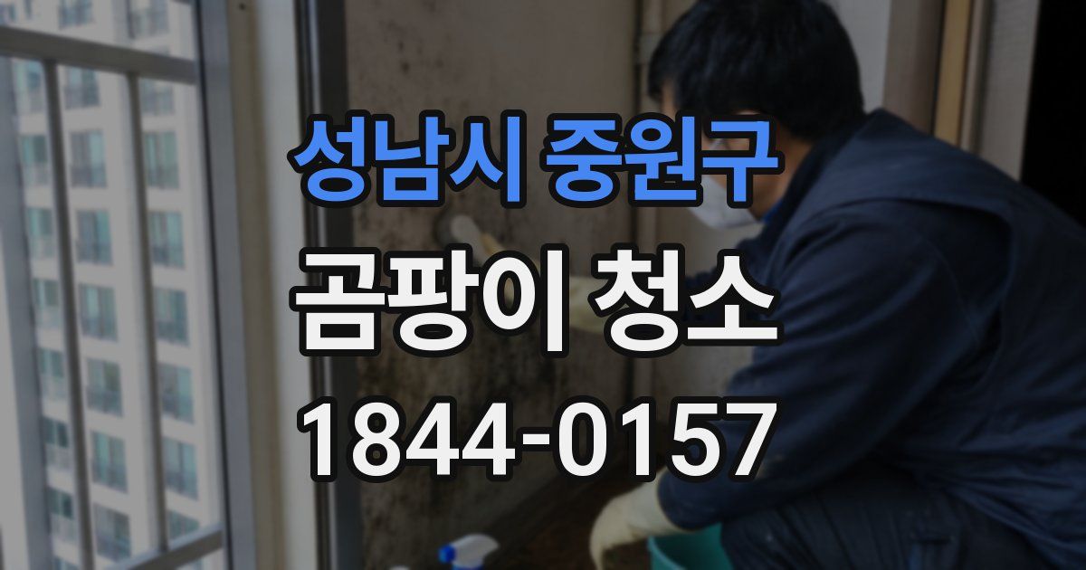 성남시 중원구 곰팡이 청소