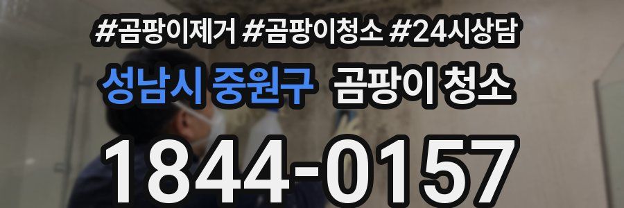 성남시 중원구 곰팡이 청소