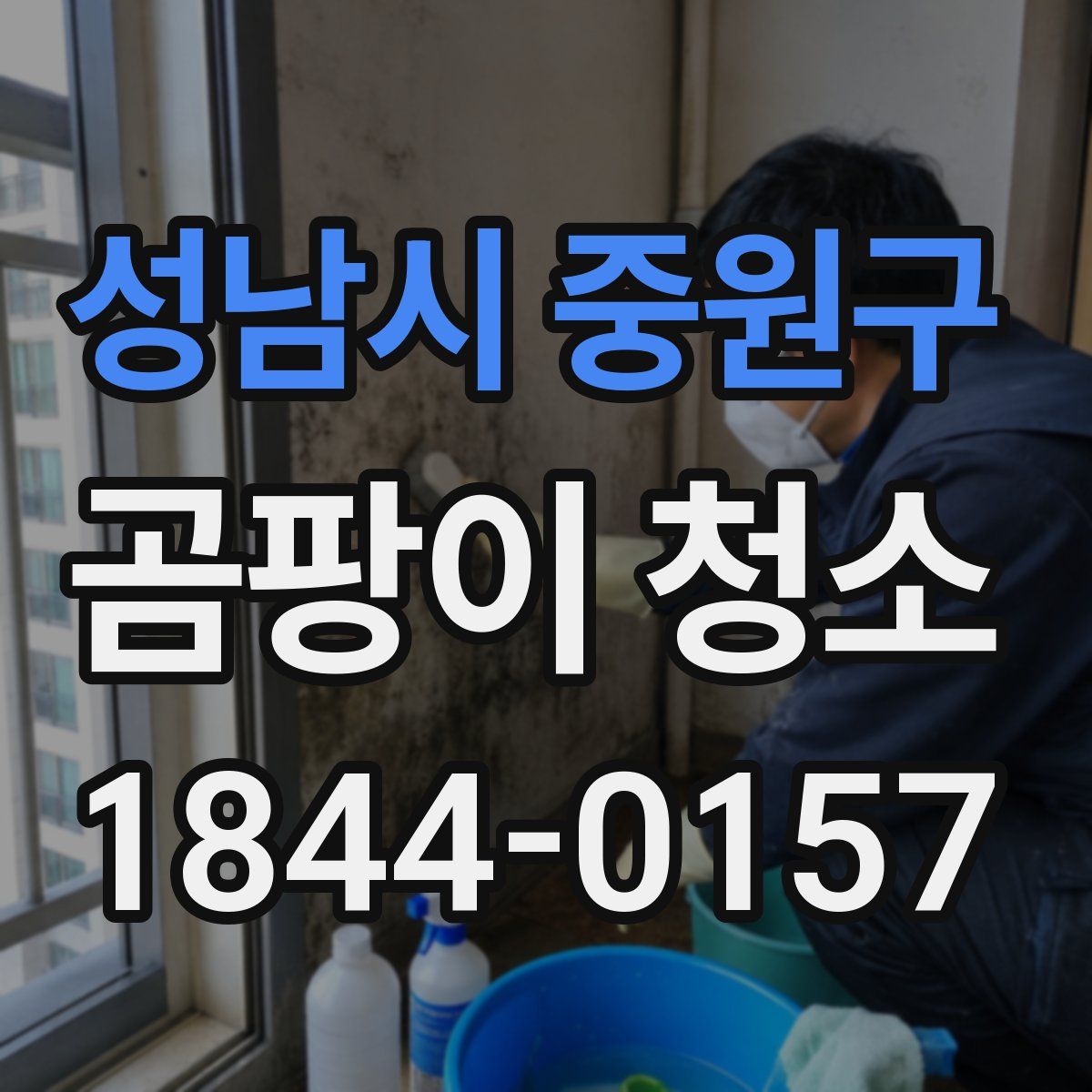 성남시 중원구 곰팡이 청소
