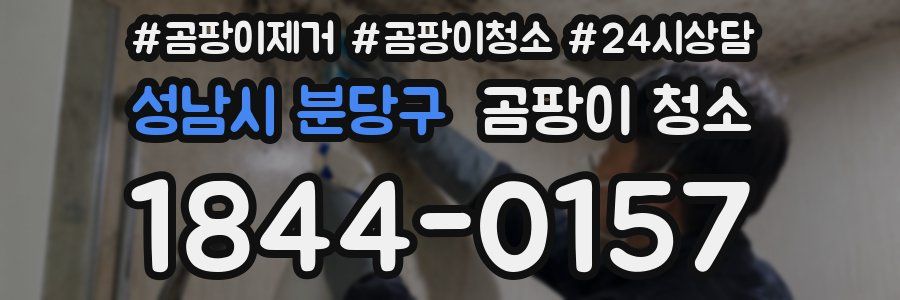 성남시 분당구 곰팡이 청소