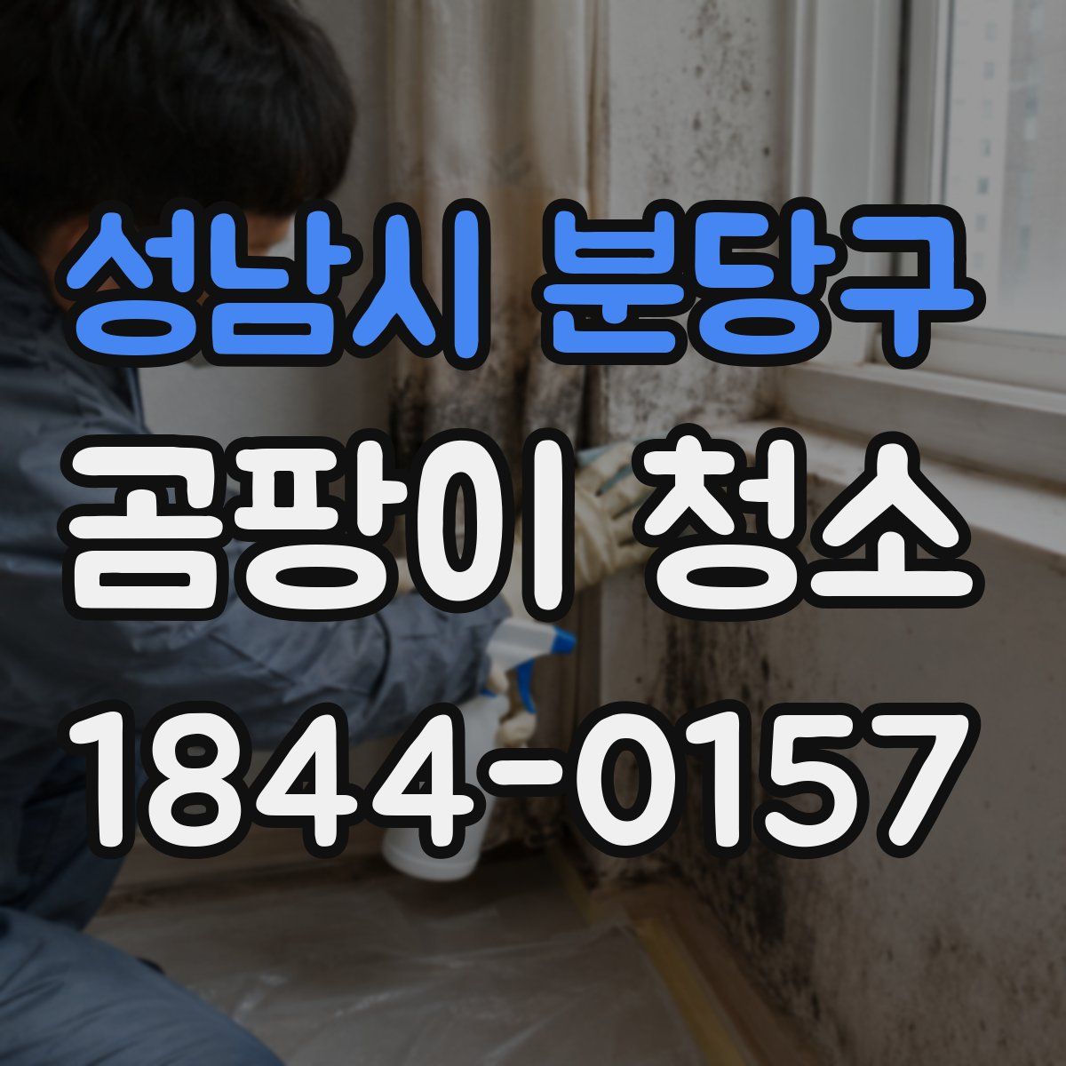 성남시 분당구 곰팡이 청소