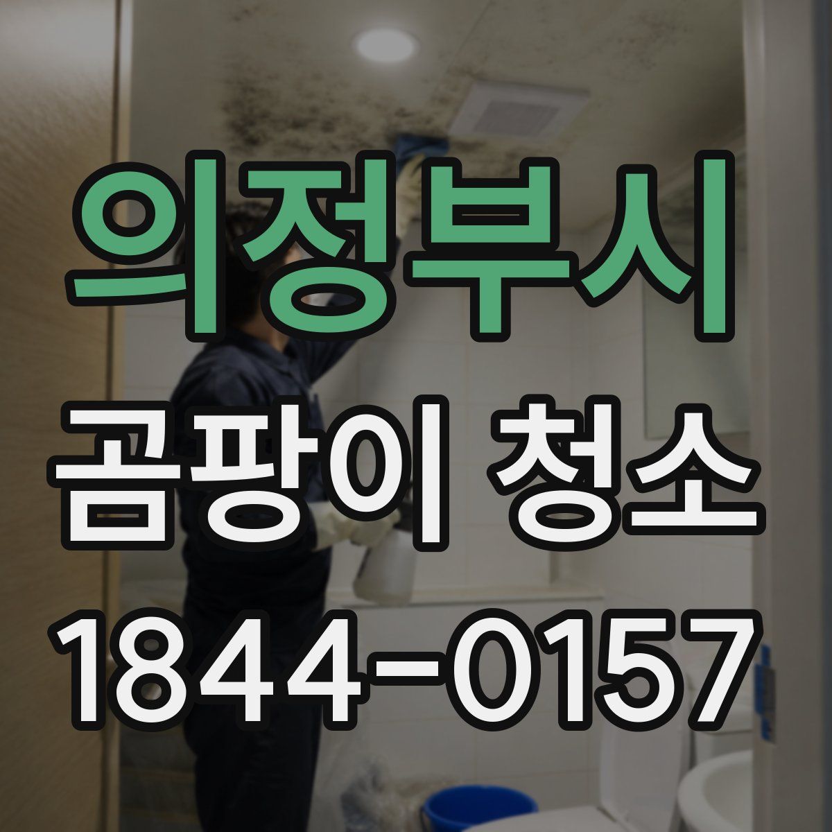 의정부시 곰팡이 청소
